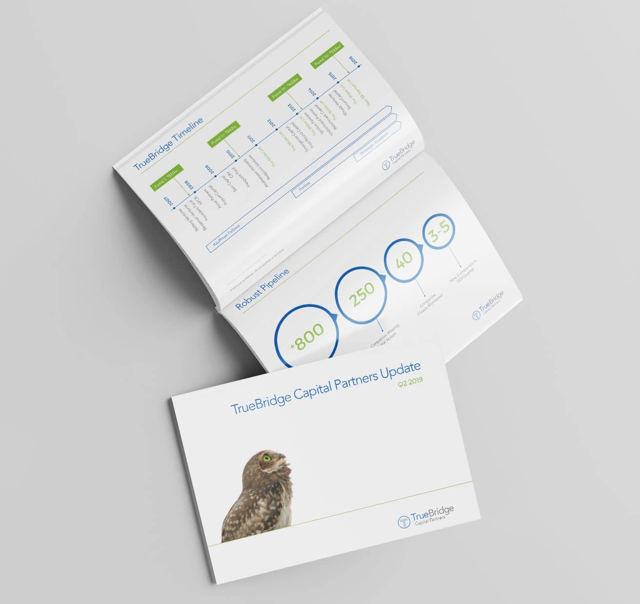 Truebridge Partners Update