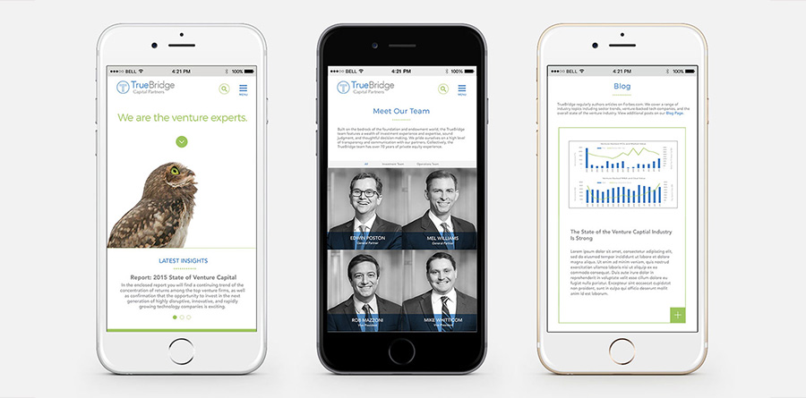 Truebridge Capital Partners