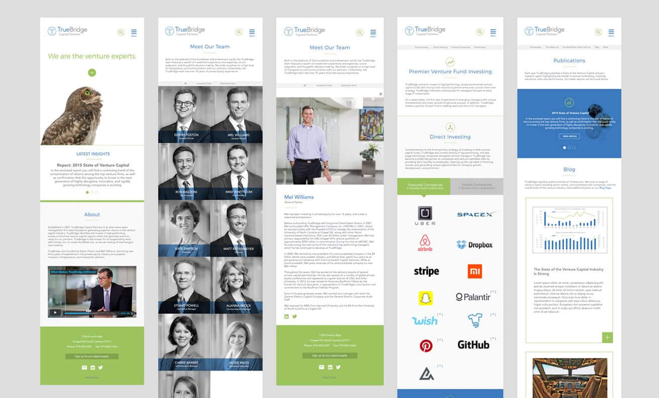 Truebridge website layouts