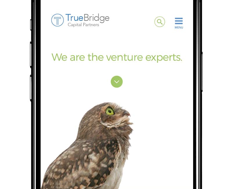 TrueBridge Capital
